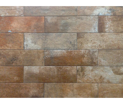 Del Conca Cantina Rosso 10x30 cm Special Mat 30CA06 | 2