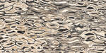 Imola Ceramica The Room ghepard 60x120 cm Decor Glanzend Vlak Lappato GHEPARD6 12LP | 1