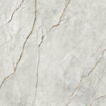 Imola Ceramica The Room grey roots GRE RO 120x120 cm Vloertegel / Wandtegel Mat Vlak Naturale GRE RO6 120 RM | 3