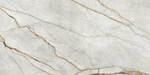 Imola Ceramica The Room grey roots GRE RO 60x120 cm Vloertegel / Wandtegel Glanzend Vlak Lappato GRE RO6 12 LP | 3