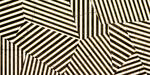 Imola Ceramica The Room zebra 60x120cm Decor