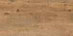 Keraben Naturwood Brandy 60x120 cm Vloertegel / Wandtegel Mat Gestructureerd P0003101 | 4