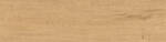 Atlas Concorde Entice Outdoor Pale 30x120x2 cm Terrastegel Mat Vlak Matt A9DD | 5
