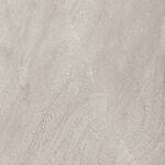 Lea Ceramiche Nextone Next Gray 60x60 cm Vloertegel | Wandtegel Glanzend Gestructureerd Lappato LGWNXL1 | 4