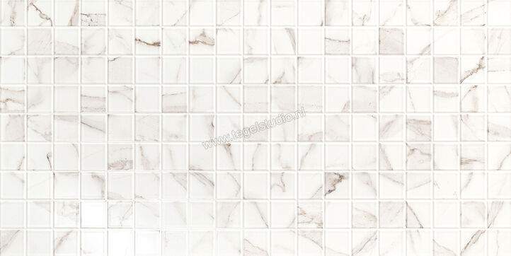 Love Tiles Precious Calacatta 35x70 cm Wandtegel Boxy Glanzend Vlak 629.0129.001 | 103432