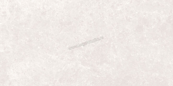 Love Tiles Marble Light Grey 35x70 cm Wandtegel Mat Vlak 629.0150.0471 | 104236