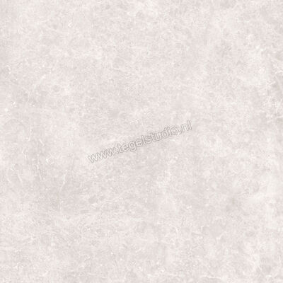 Love Tiles Marble Light Grey 59.9x59.9 cm Vloertegel / Wandtegel Mat Vlak 615.0023.0471 | 104242
