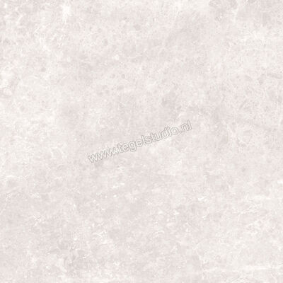Love Tiles Marble Light Grey 59.9x59.9 cm Vloertegel / Wandtegel Glanzend Vlak 615.0024.0471 | 104245