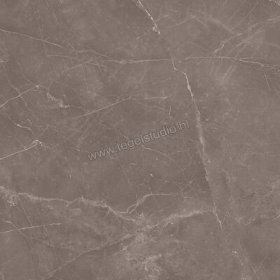 Love Tiles Marble Tortora 59.9x59.9 cm Vloertegel / Wandtegel Mat Vlak 615.0023.0371 | 104347