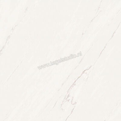 Love Tiles Marble White 59.9x59.9 cm Vloertegel / Wandtegel Mat Vlak 615.0023.0011 | 104383
