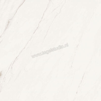 Love Tiles Marble White 59.9x59.9 cm Vloertegel / Wandtegel Glanzend Vlak 615.0024.0011 | 104386