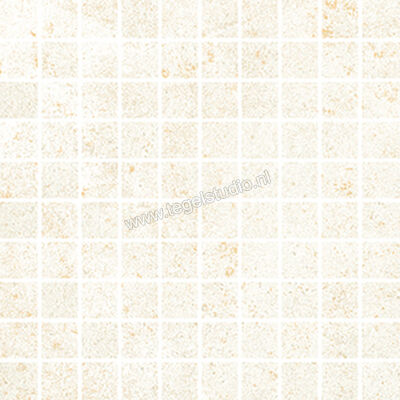 Love Tiles Metallic Platinum 22.4x22.4 cm Mozaiek Lex Mat Vlak 663.0119.0011 | 104515