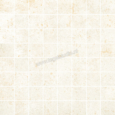 Love Tiles Metallic Platinum 35x35 cm Mozaiek Mat Vlak 663.0117.0011 | 104524