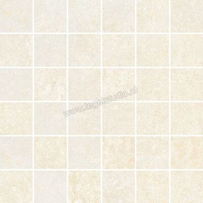 Love Tiles Metallic Platinum 29.85x29.85 cm Mozaiek Cover Mat Vlak 663.0122.0011 | 104572
