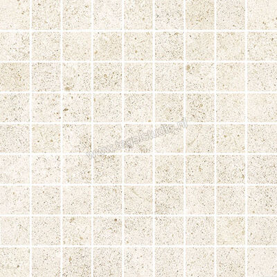 Love Tiles Nest White 29.5x29.5 cm Mozaiek Mat Vlak 663.0087.0011 | 104761