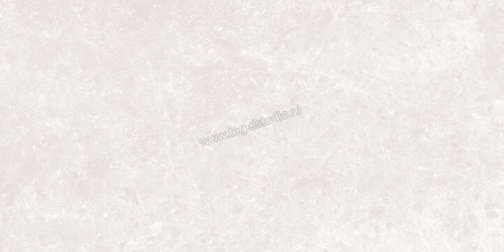 Love Tiles Marble Light Grey 35x70 cm Wandtegel Glanzend Vlak 629.0139.0471 | 105658