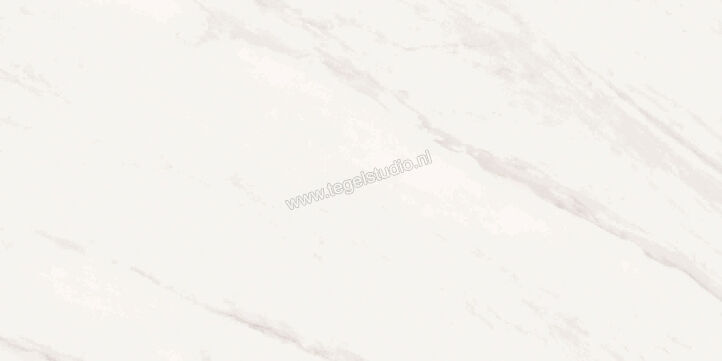 Love Tiles Marble White 35x70 cm Wandtegel Glanzend Vlak 629.0139.0011 | 105664