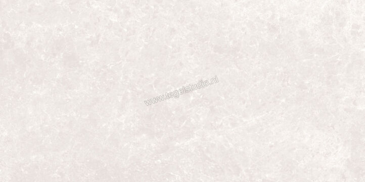 Love Tiles Marble Light Grey 29.85x59.9 cm Vloertegel / Wandtegel Mat Vlak 614.0016.0471 | 105709