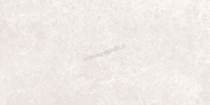 Love Tiles Marble Light Grey 29.85x59.9 cm Vloertegel / Wandtegel Glanzend Vlak 614.0017.0471 | 105712