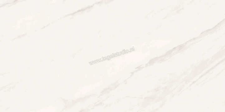 Love Tiles Marble White 29.85x59.9 cm Vloertegel / Wandtegel Mat Vlak 614.0016.0011 | 105733