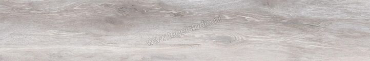 Topcollection Woodtrend Grigio 20x120 cm Vloertegel / Wandtegel Mat Gestructureerd 0089270 | 107515