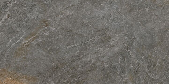Topcollection Dolomite Grey 50x100x2 cm Terrastegel Mat Gestructureerd Naturale 0093715 | 110305