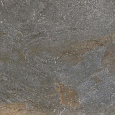 Topcollection Dolomite Grey 60x60 cm Vloertegel / Wandtegel Mat Gestructureerd 0092892 | 110389