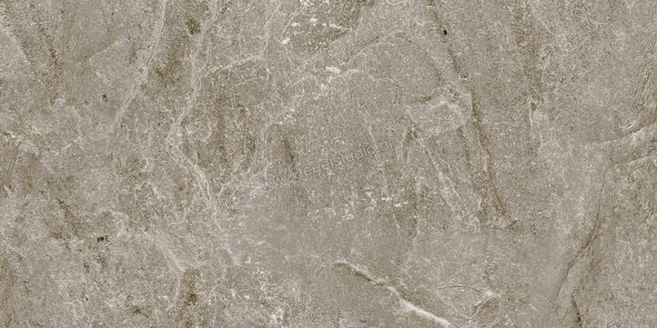 Topcollection Dolomite Taupe 30x60 cm Vloertegel / Wandtegel Mat Gestructureerd 0099349 | 110449