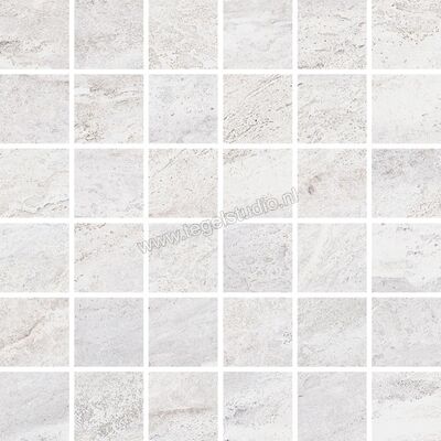 Topcollection Dolomite White 4.7x4.7 cm Mozaiek 4,7X4,7 Mat Gestructureerd 0092927 | 110506