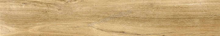 Topcollection Silvis Larice 20x120 cm Vloertegel / Wandtegel Mat Vlak Naturale CV0181653 | 148332