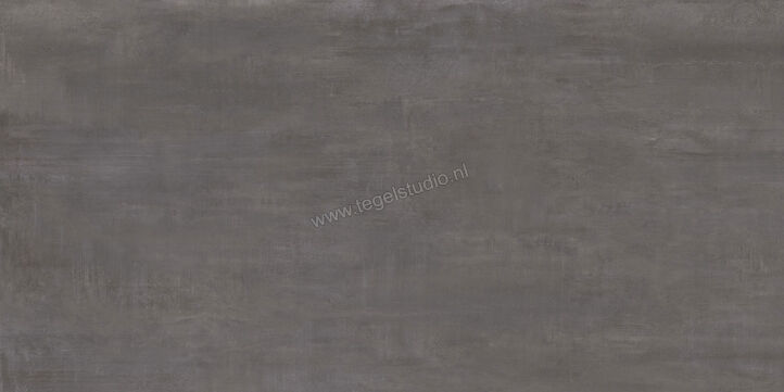Century Titan Aluminium 30x60 cm Vloertegel / Wandtegel Mat Vlak Naturale CV0107243 | 156474