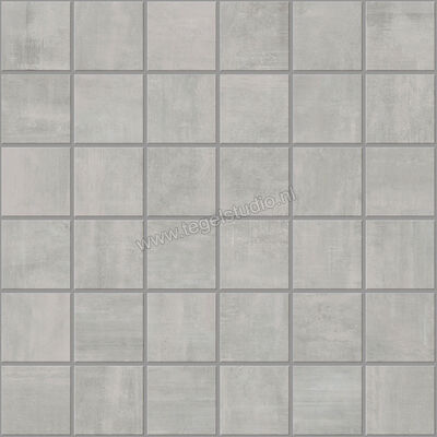 Century Titan Platinum 30x30 cm Mozaiek 4,7X4,7 Mat Vlak Naturale CV0107251 | 156618