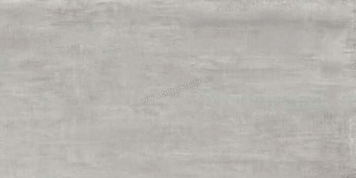 Century Titan Platinum 30x60 cm Vloertegel / Wandtegel Mat Vlak Naturale CV0107244 | 156621