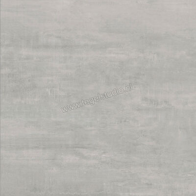 Century Titan Platinum 60x60 cm Vloertegel / Wandtegel Mat Vlak Naturale CV0107237 | 156636