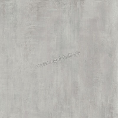 Century Titan Platinum 80x80 cm Vloertegel / Wandtegel Mat Vlak Naturale CV0107229 | 156639