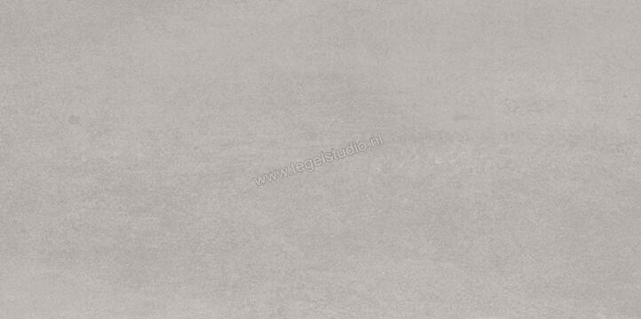 Villeroy & Boch Daytona Grey 30x60 cm Vloertegel / Wandtegel Mat Vlak 2341 BP60 0 | 159942