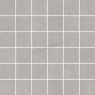 Villeroy & Boch Daytona Grey 30x30 cm Mozaiek 5X5 Cm Mat Vlak 2706 BP60 8 | 159945