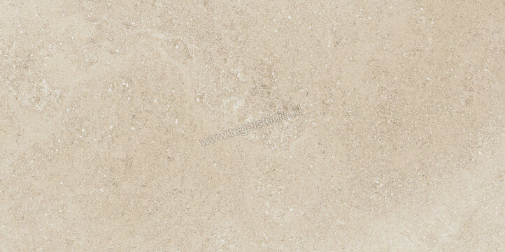 Villeroy & Boch Hudson Sand 30x60 cm Vloertegel / Wandtegel Glanzend Gestructureerd 2576 SD2L 0 | 160101