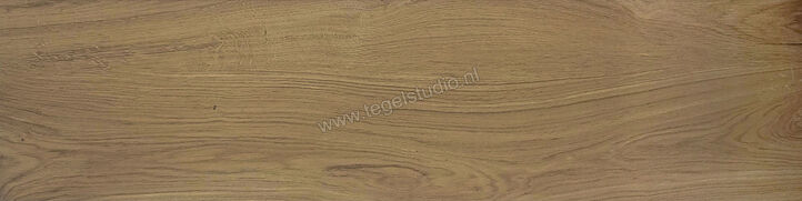 Topcollection Artwood Malt 15x60 cm Vloertegel / Wandtegel Mat Vlak Naturale AWD30RT | 161829