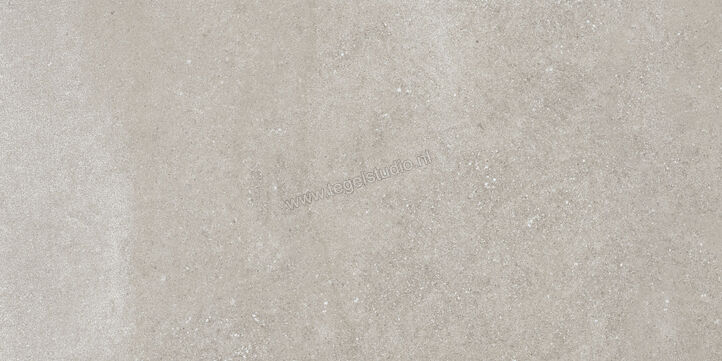  Villeroy & Boch Hudson Ash Grey 30x60 cm Vloertegel / Wandtegel Mat Gestructureerd 2576 SD5M 0 | 166479