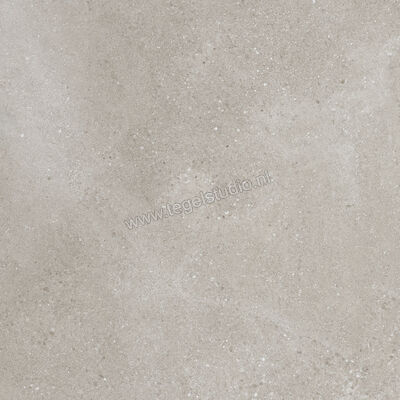 Villeroy & Boch Hudson Ash Grey 60x60 cm Vloertegel / Wandtegel Glanzend Gestructureerd 2577 SD5L 0 | 166488