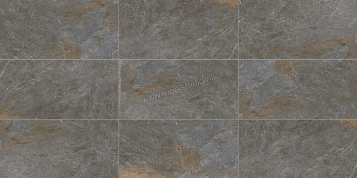 Topcollection Dolomite Grey 50x100x2 cm Terrastegel Mat Gestructureerd Naturale 0093715 | 167454