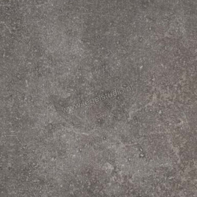 Topcollection Lux Dark 60x60x1.8 cm Terrastegel Mat Vlak BNLDA6018 | 172827