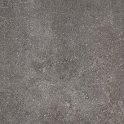 Topcollection Lux Dark 60x60 cm Vloertegel / Wandtegel Mat Vlak BENB009 | 172830