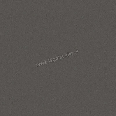 Villeroy & Boch Pure Line 2.0 Asphalt Grey 120x120 cm Vloertegel / Wandtegel Mat Vlak VilbostonePlus 2750 UL90 0 | 182210