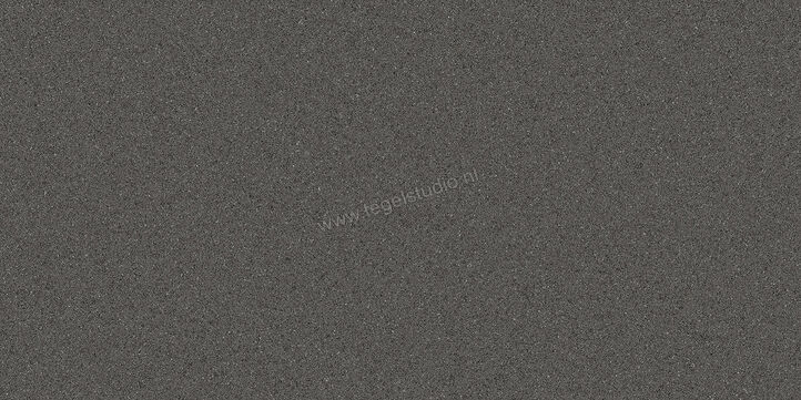 Villeroy & Boch Pure Line 2.0 asphalt grey 30x60 cm Vloertegel / Wandtegel Mat Vlak VilbostonePlus 2754 UL90 0 | 182219