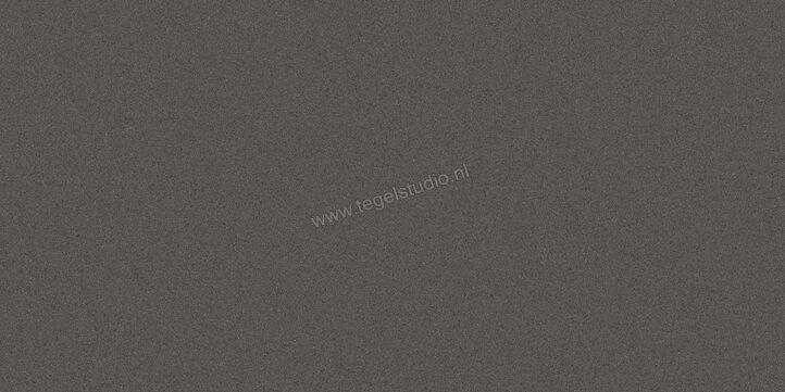 Villeroy & Boch Pure Line 2.0 asphalt grey 60x120 cm Vloertegel / Wandtegel Mat Vlak VilbostonePlus 2751 UL90 0 | 182222