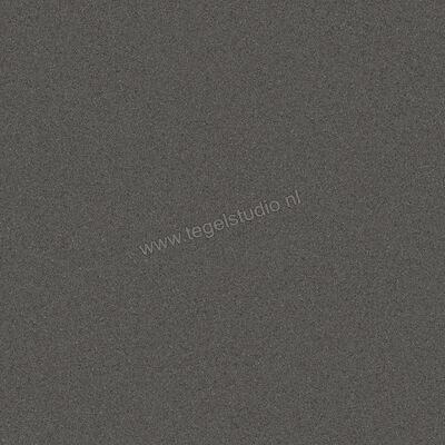 Villeroy & Boch Pure Line 2.0 Asphalt Grey 60x60 cm Vloertegel / Wandtegel Mat Vlak VilbostonePlus 2753 UL90 0 | 182225