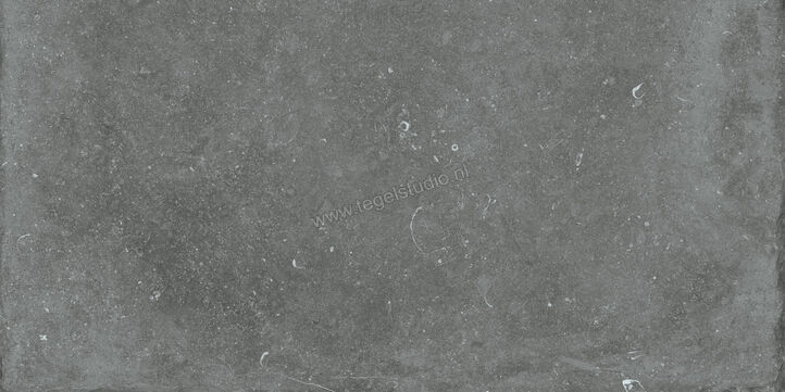 Flaviker Nordik Stone Grey 60x120 cm Vloertegel / Wandtegel Mat Gestructureerd Lappato PF60004215 | 182903