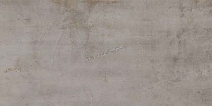 Flaviker Rebel Silver 30x60 cm Wandtegel Mat Vlak Naturale PF60004103 | 183257